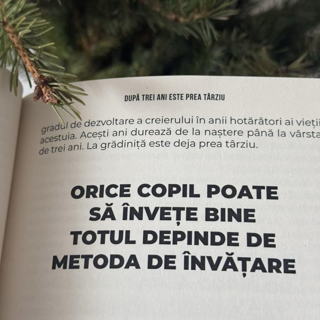 După trei ani este prea târziu - Masaru Ibuka